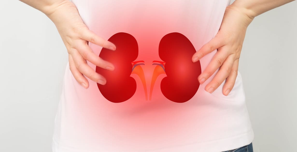 Kidney failure treatment in Greater Noida