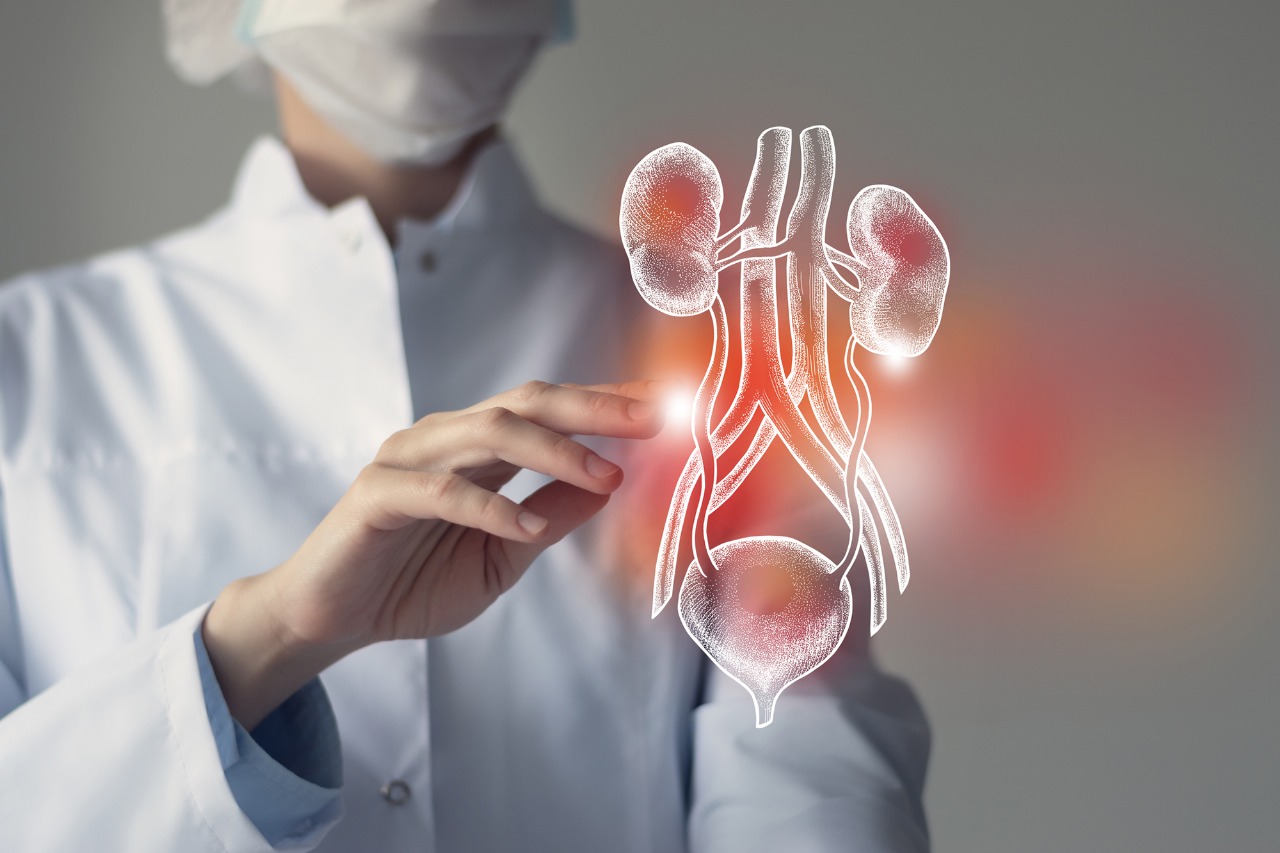 Kidney Transplantation in Greater Noida